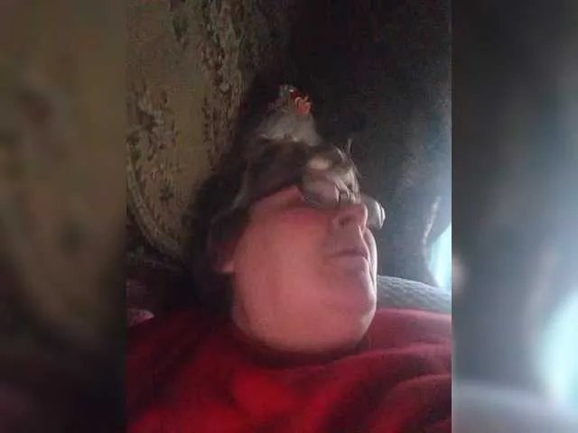 Freechat Cekun on BongaCams