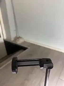 Freechat IsabellaEtthan on StripChat